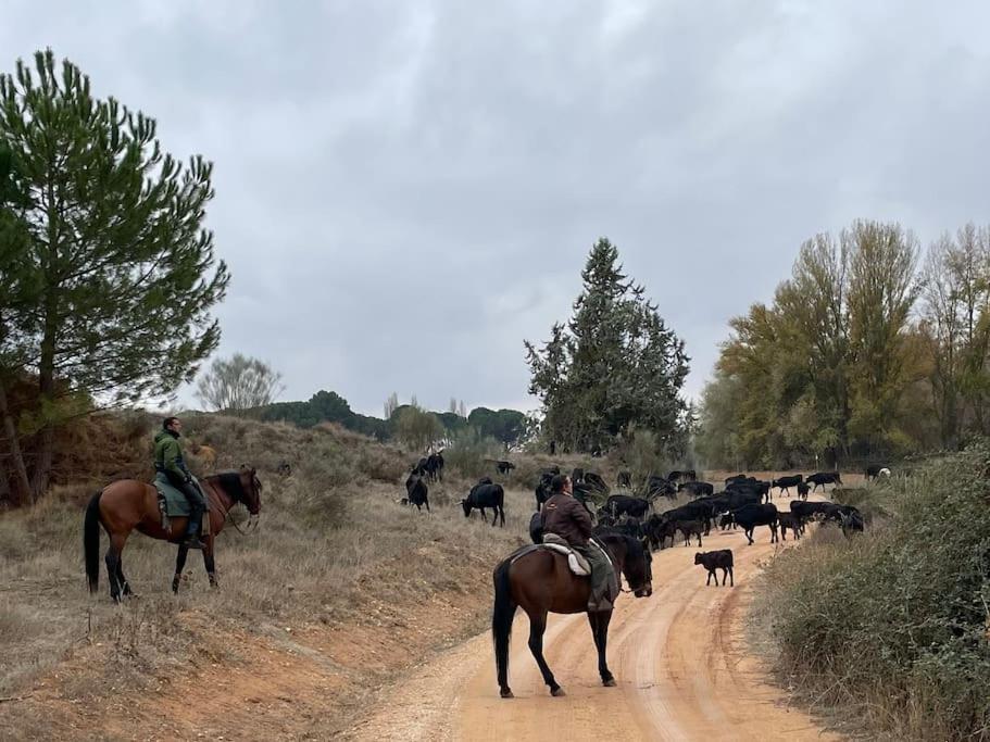 Casa Rural Berta El Picazo 外观 照片