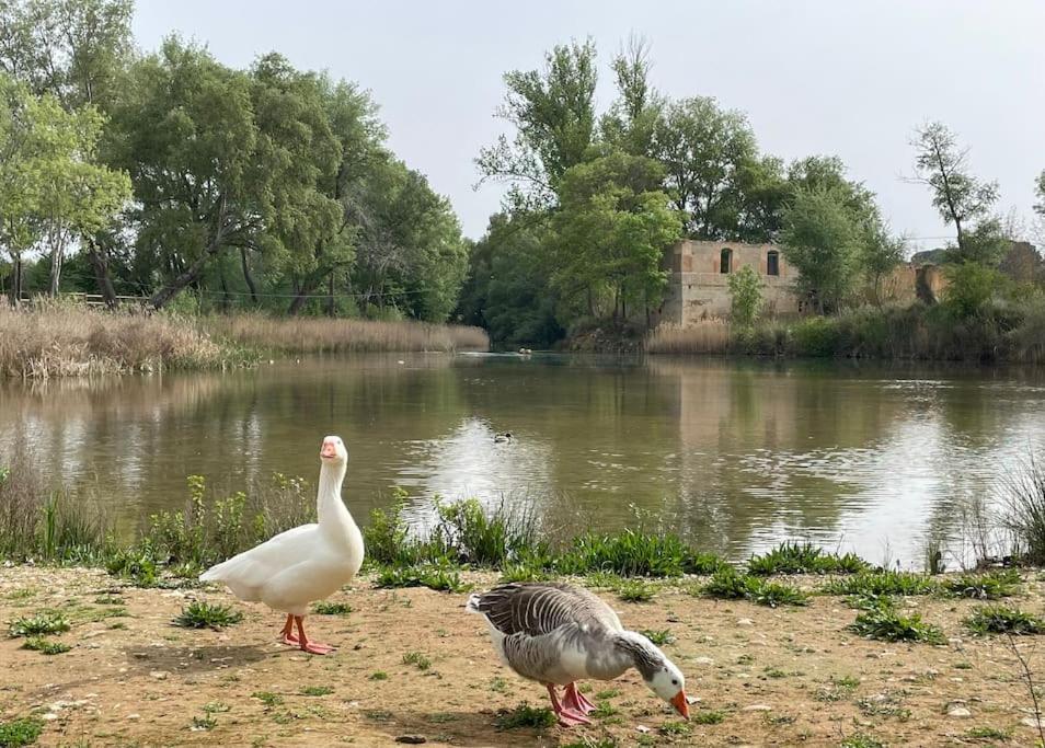 Casa Rural Berta El Picazo 外观 照片